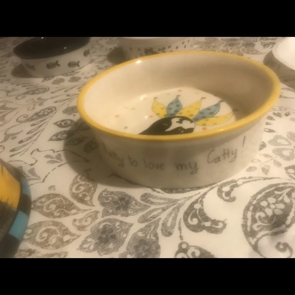 Cat bowls